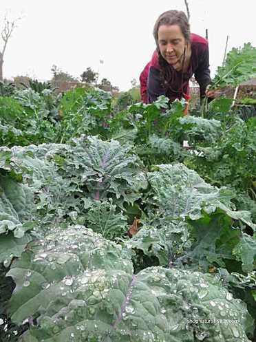 Picture of Natural Living Store owner Lisa Piper working at local organic farm